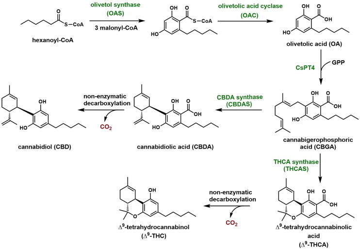 PMC12134893 – fig2
