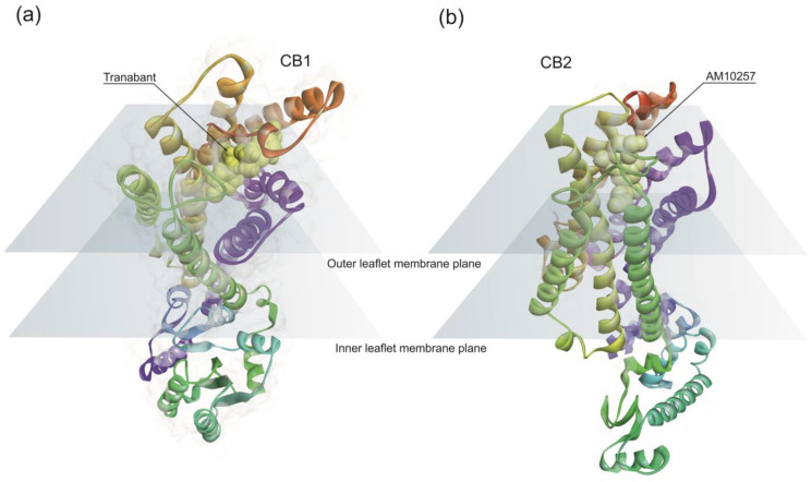 PMC7344445 – life-10-00086-f001