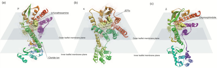 PMC7344445 – life-10-00086-f005