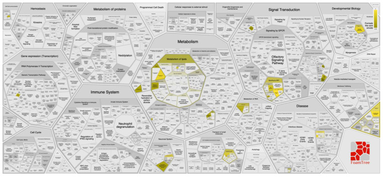 PMC8470085 – life-11-00921-f004