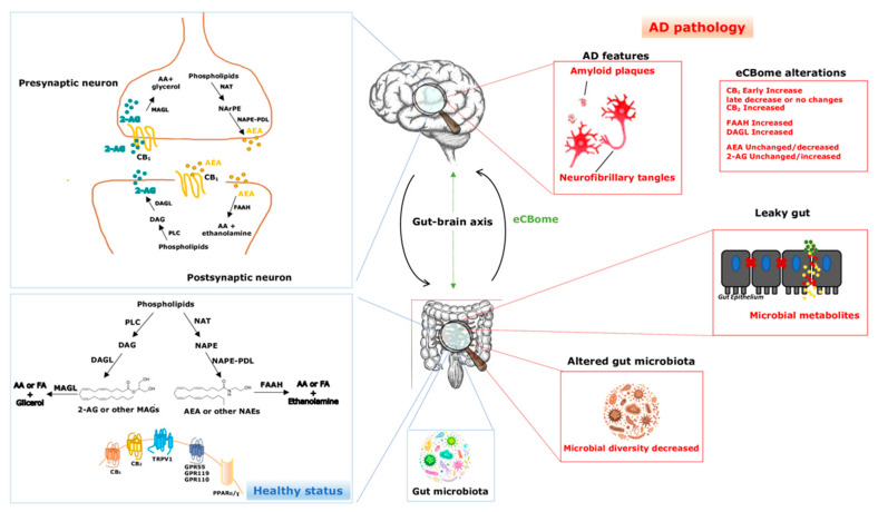 PMC8470731 – life-11-00934-f001