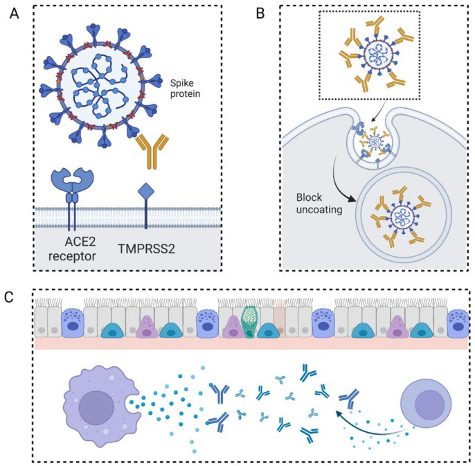 PMC8778790 – life-12-00130-f002