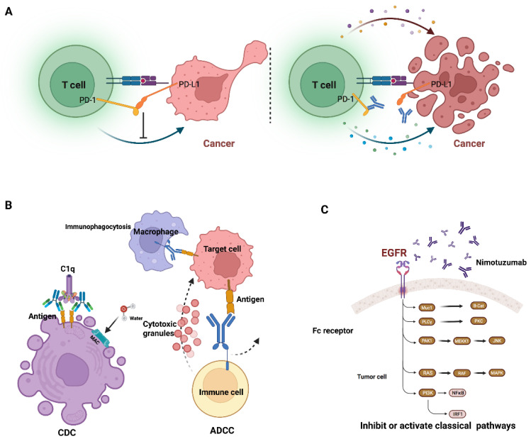 PMC8778790 – life-12-00130-f004