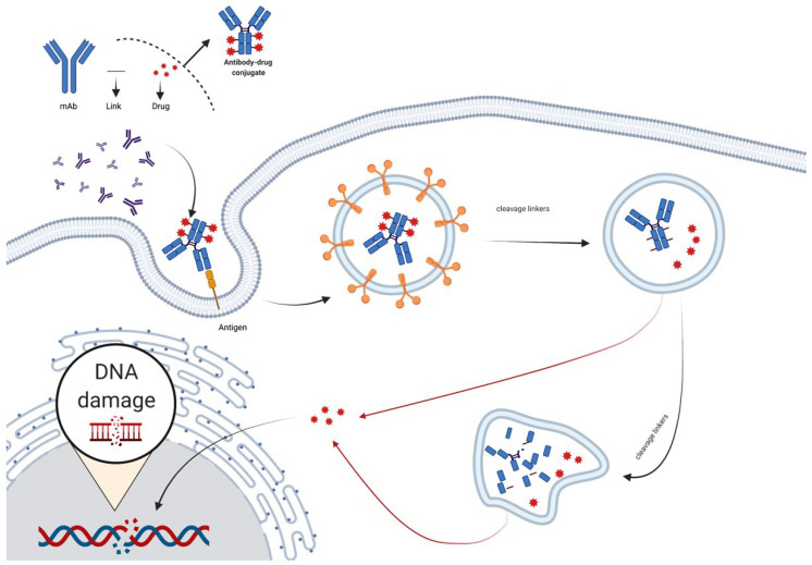 PMC8778790 – life-12-00130-f005