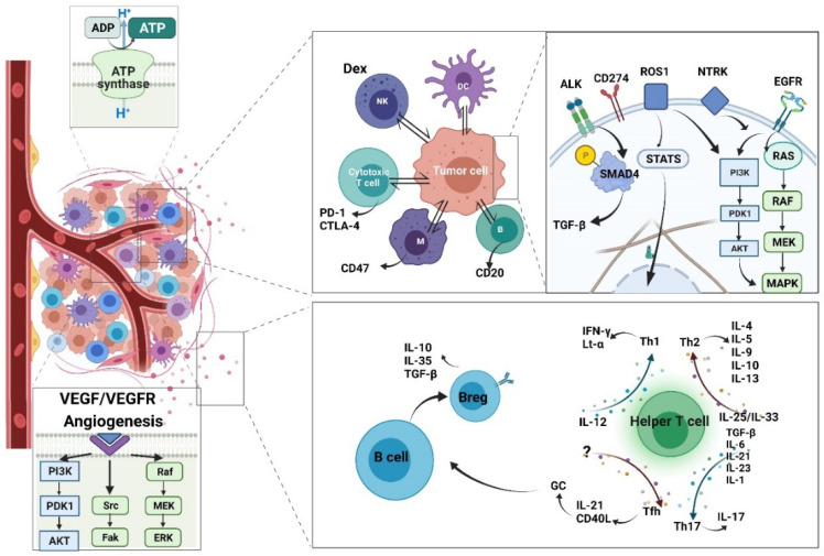 PMC8778790 – life-12-00130-f006