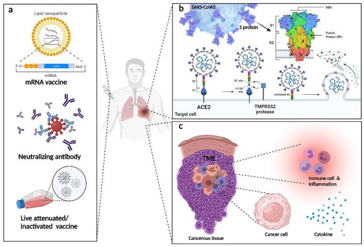 PMC8778790 – life-12-00130-f007