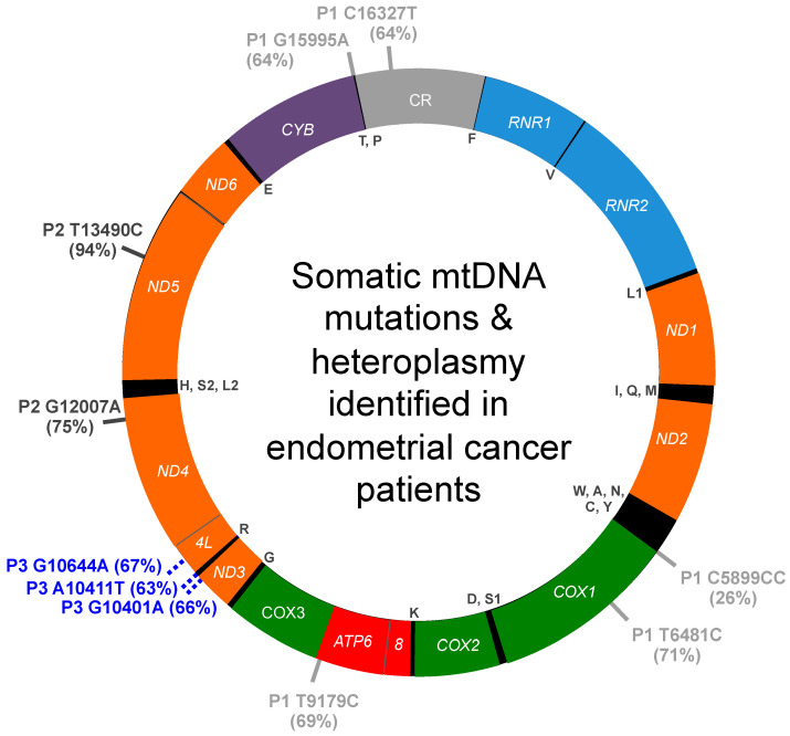 PMC9030153 – life-12-00562-f001