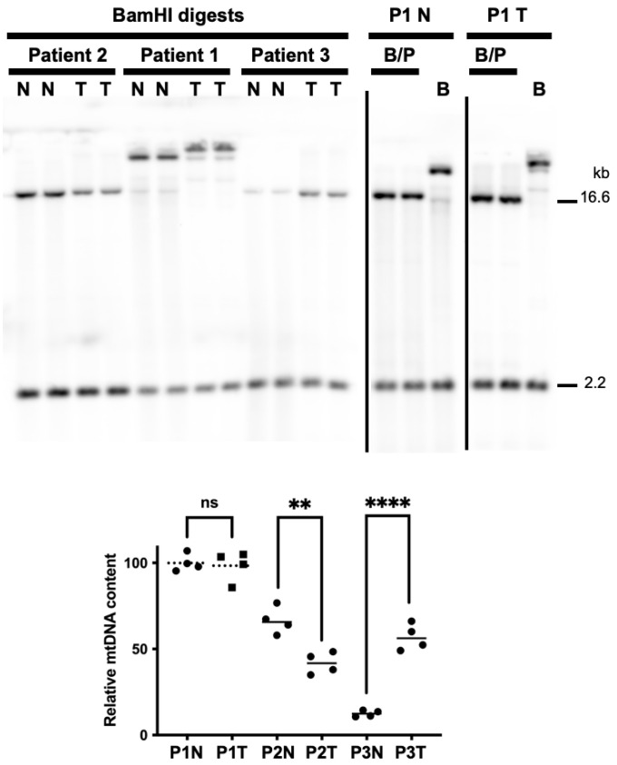 PMC9030153 – life-12-00562-f002
