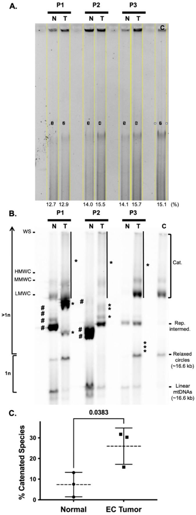 PMC9030153 – life-12-00562-f003