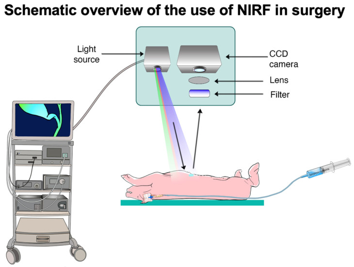 PMC9332805 – life-12-01123-f001