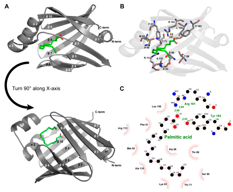 PMC9505153 – life-12-01445-f002