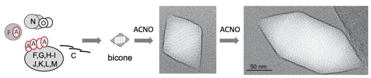PMC9501494 – life-12-01455-f005