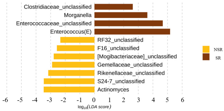 PMC9605223 – life-12-01540-f003