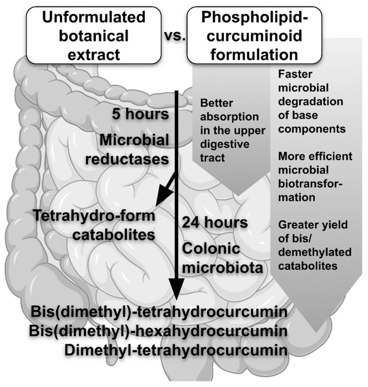 PMC9696410 – life-12-01708-f001