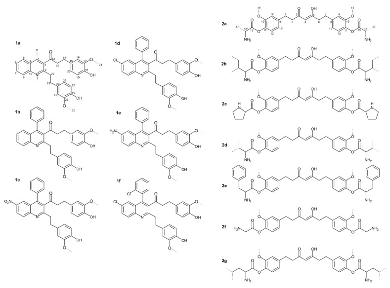 PMC9696410 – life-12-01708-f002