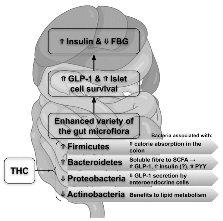 PMC9696410 – life-12-01708-f003