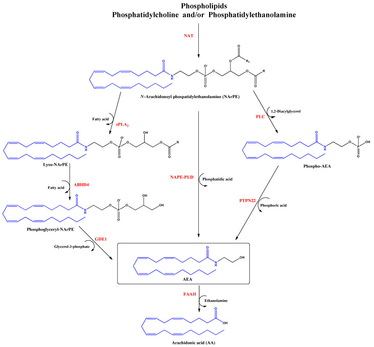 PMC9784976 – life-12-02117-f002