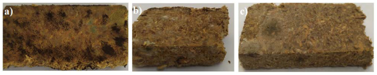 PMC10744946 – life-13-02306-f001