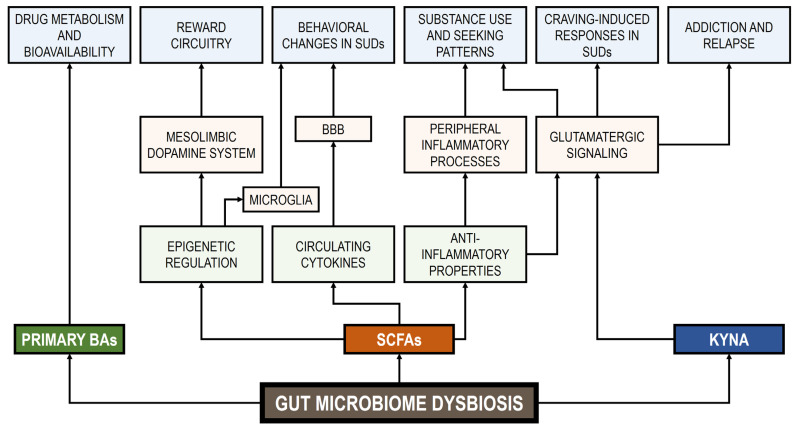PMC12194791 – life-15-00834-f001