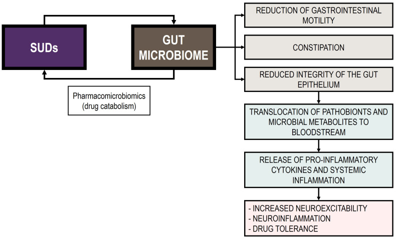 PMC12194791 – life-15-00834-f002