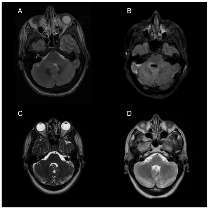 PMC12299436 – life-15-01021-f001