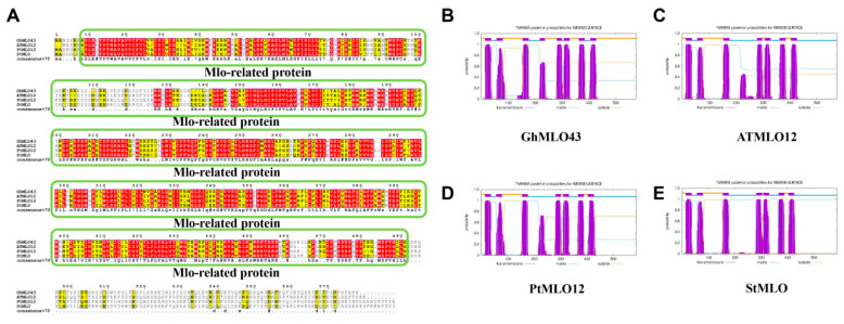 PMC13028013 – life-16-00476-f002