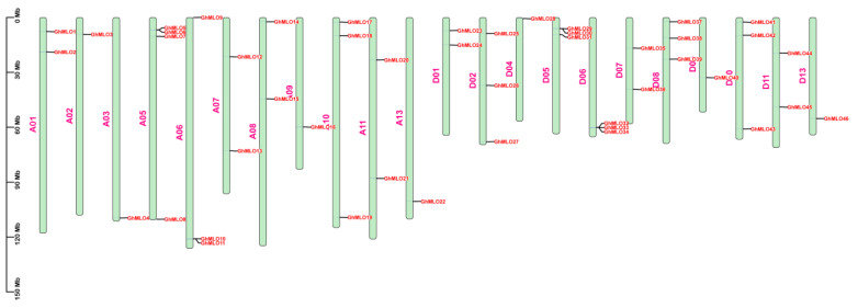 PMC13028013 – life-16-00476-f003