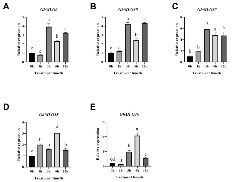 PMC13028013 – life-16-00476-f009