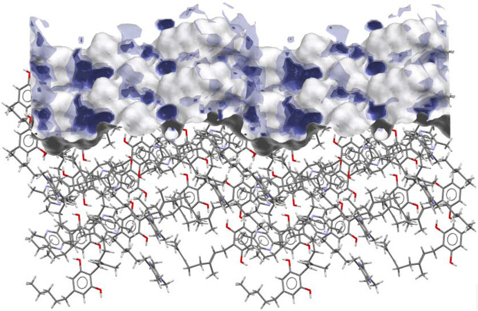 PMC11878449 – fig10