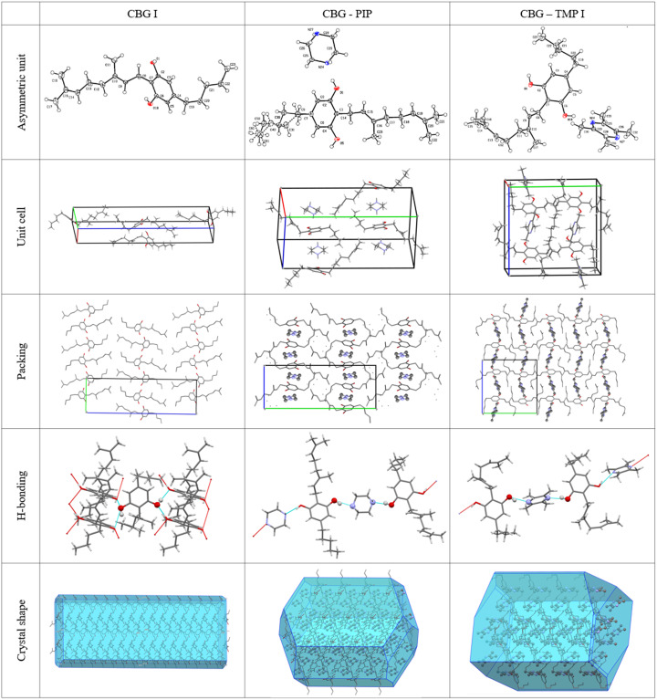 PMC11878449 – fig6