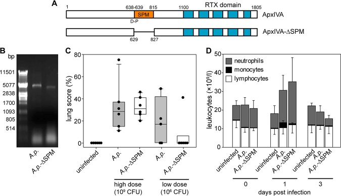 PMC7078468 – fig5