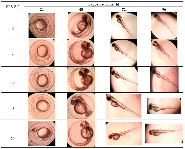 PMC7997376 – marinedrugs-19-00133-f002