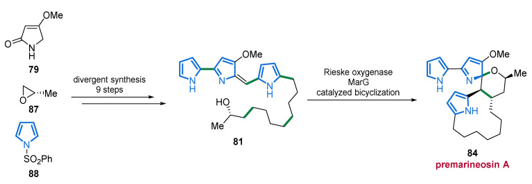 PMC8471394 – marinedrugs-19-00514-sch007