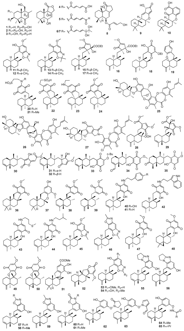 PMC11943499 – marinedrugs-23-00096-f005