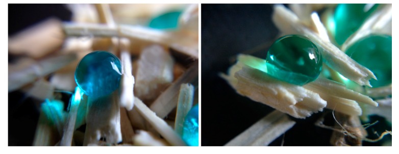 PMC5793502 – materials-11-00004-f008