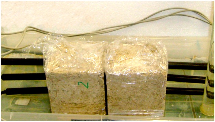 PMC7178351 – materials-13-01677-f004