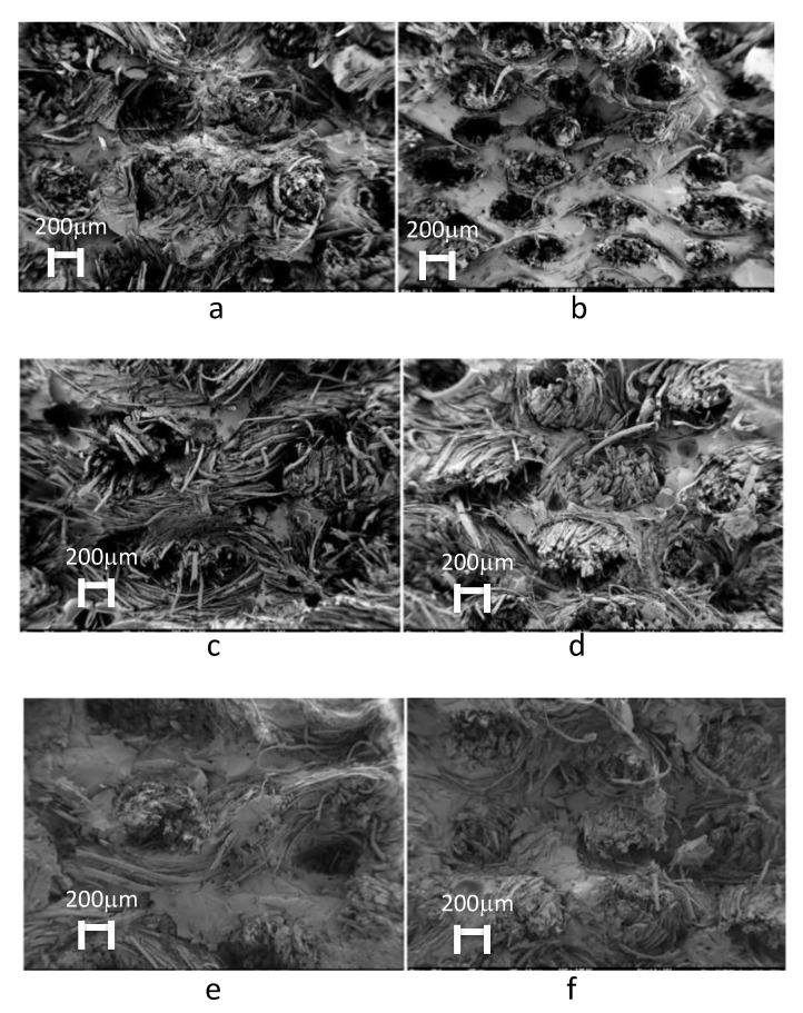 PMC7765312 – materials-13-05720-f003
