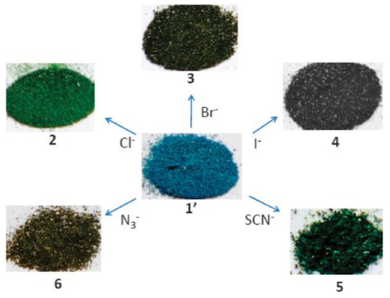 PMC7826725 – materials-14-00310-f004