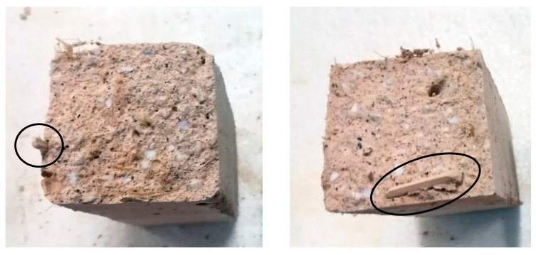 PMC7918846 – materials-14-00882-f010