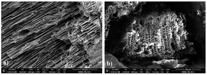 PMC8400706 – materials-14-04580-f016