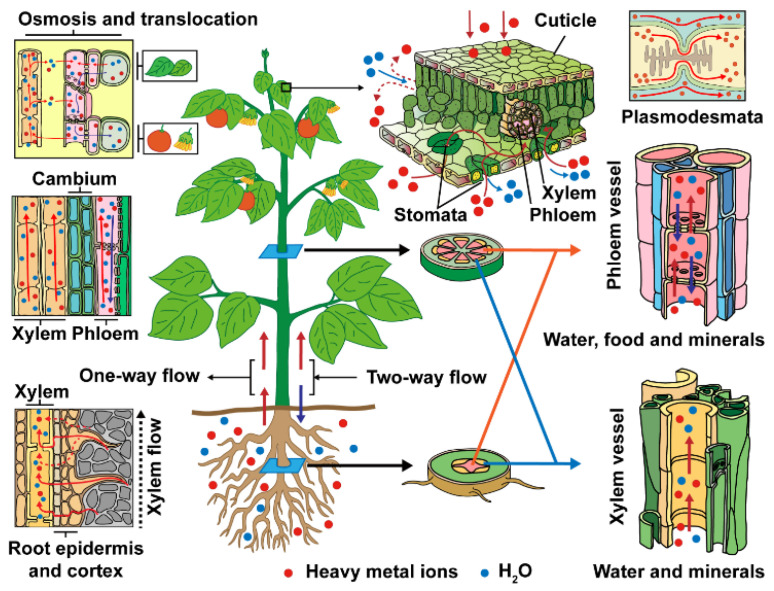 PMC8401945 – materials-14-04734-f001