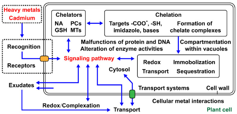 PMC8401945 – materials-14-04734-f002