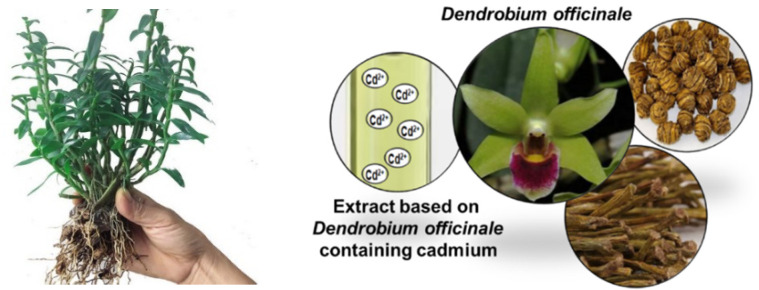 PMC8401945 – materials-14-04734-f003