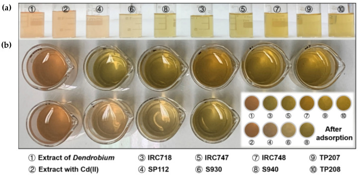PMC8401945 – materials-14-04734-f013
