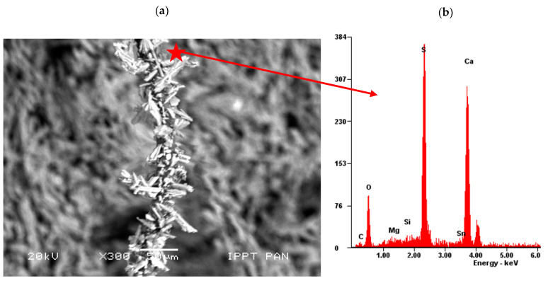 PMC8432728 – materials-14-04830-f011