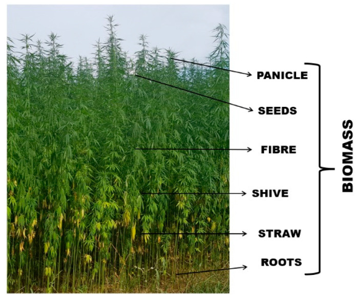 PMC8539042 – materials-14-06031-f001
