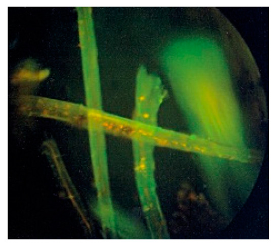 PMC8539042 – materials-14-06031-f003