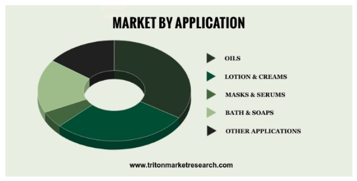 PMC8539042 – materials-14-06031-f006