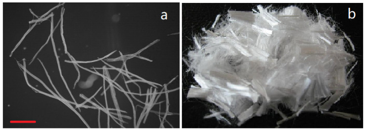 PMC8585399 – materials-14-06384-f001