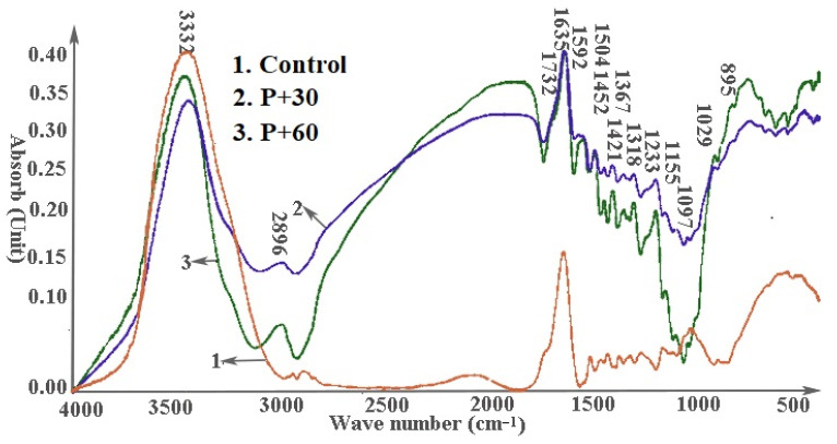 PMC8585399 – materials-14-06384-f006
